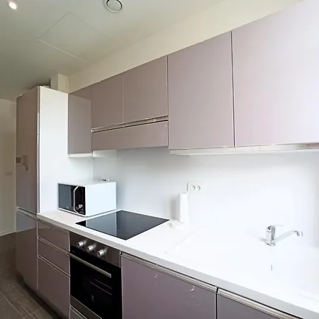 Viva Riviera Large 1 Bedroom Palais Hoche Cannes